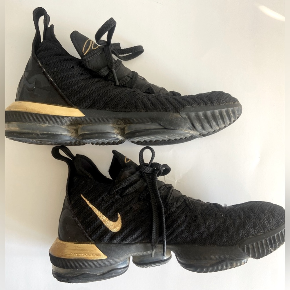 Nike LeBron James XVI Shoes